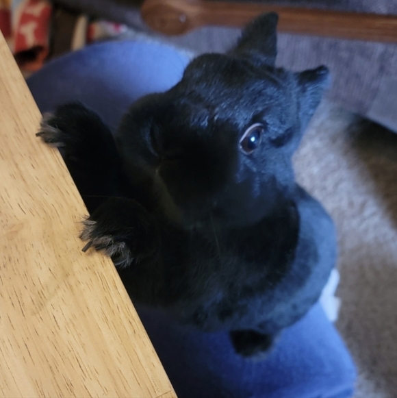 8mm Cube Apatite Bracelet - Picture 3 of 6